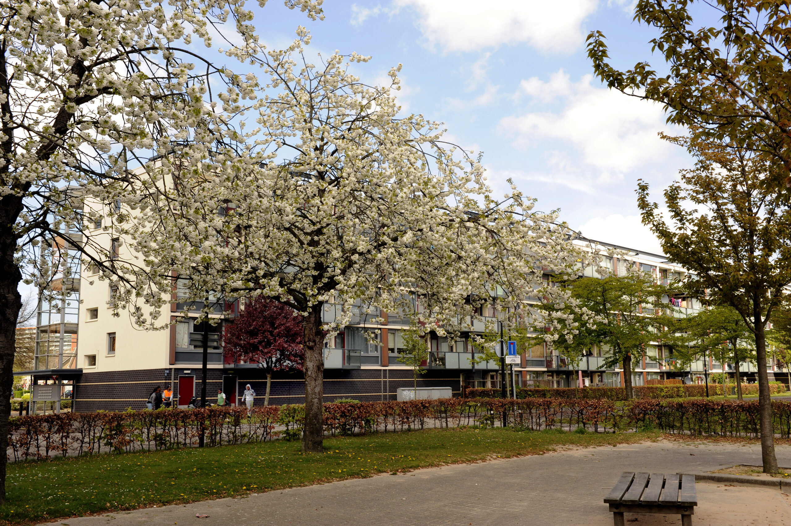 05560202_WMVH_groen_Maa_Maa (10)